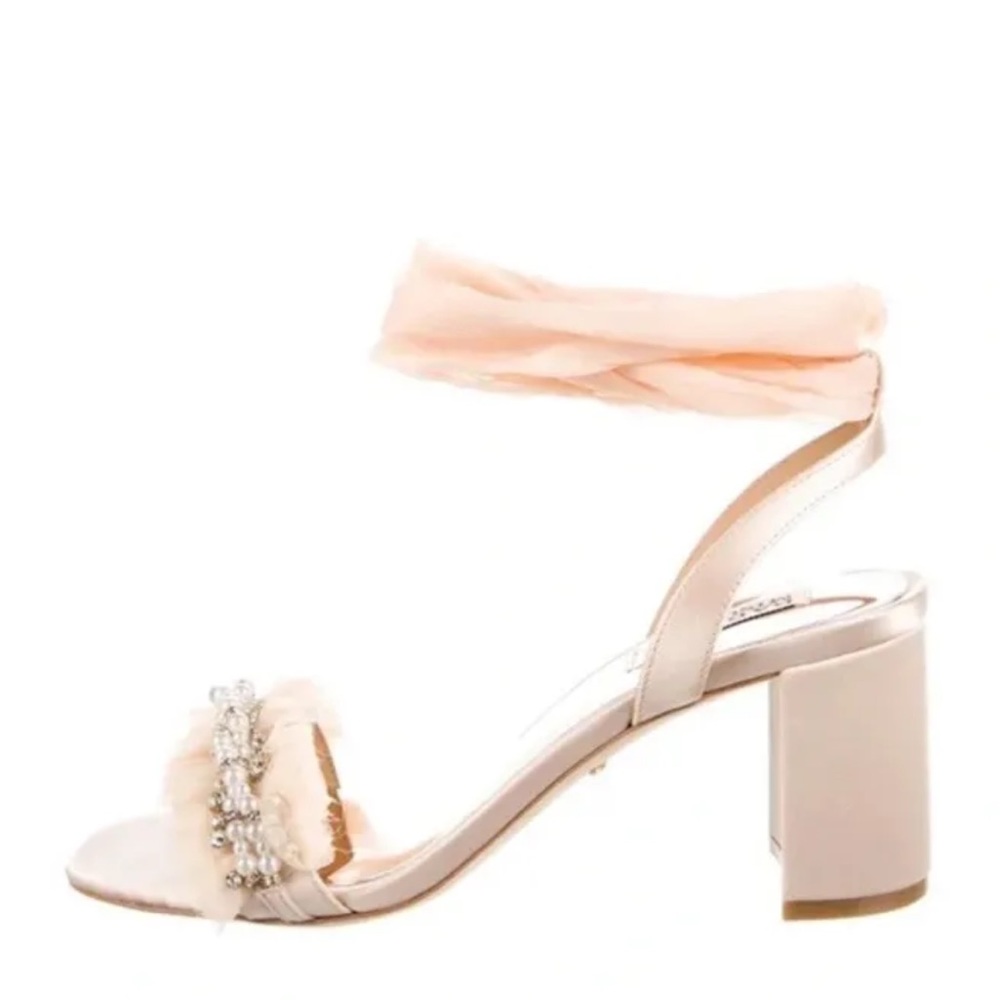 NWT Badgley Mischka Tana Block Heel with Chiffon ankle tie -blush pink
